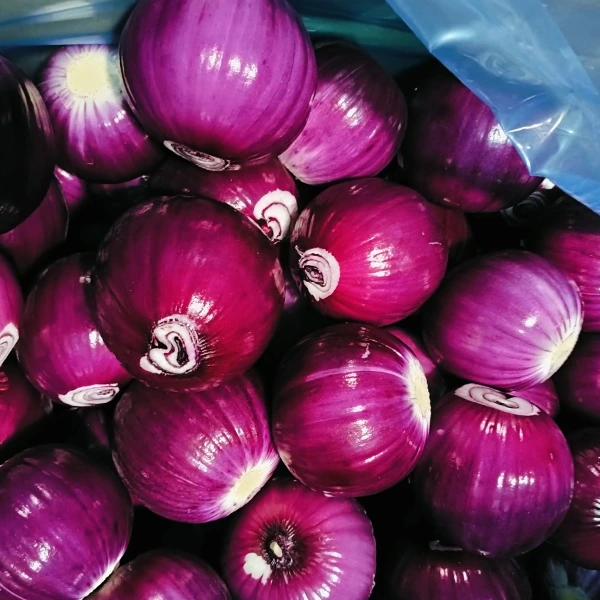 Huaang Food Processing gewënnt Maartundeel mat stabiler Qualitéit