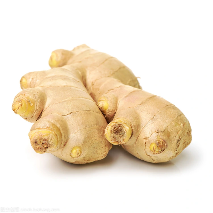 Firwat ass Premium Fresh Ginger déi bevorzugt Wiel fir Qualitéitsbewosst Keefer?