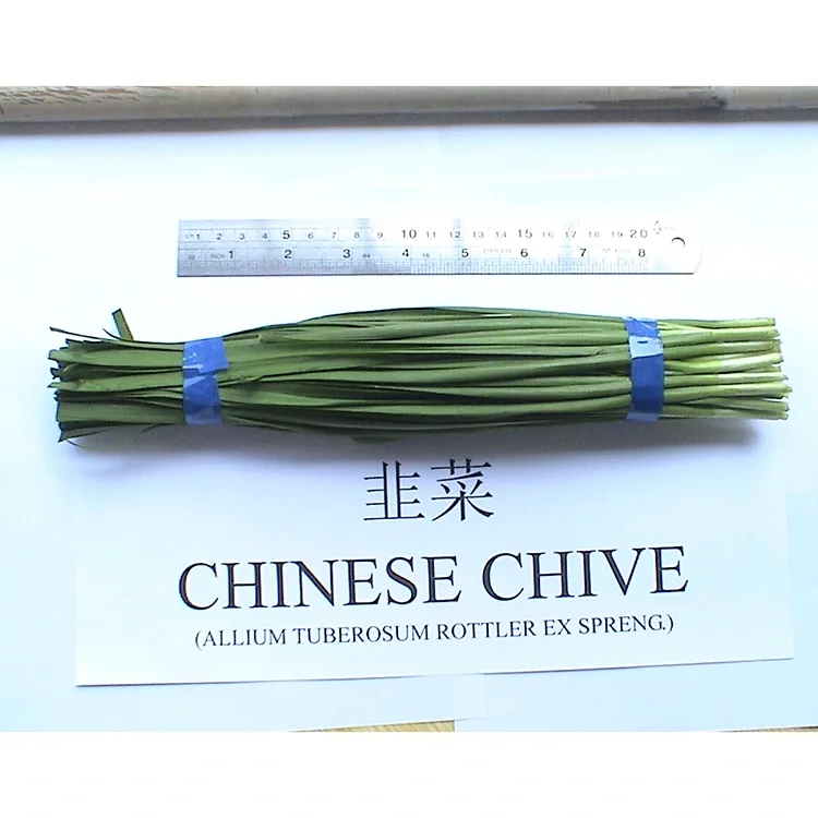 Firwat gi Farm Frësch Chinesesch Chives wäit an der asiatescher Kichen benotzt?