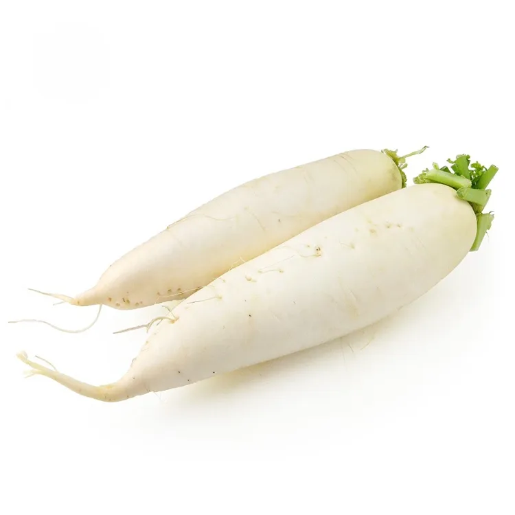 Crunchy wäiss Rettich