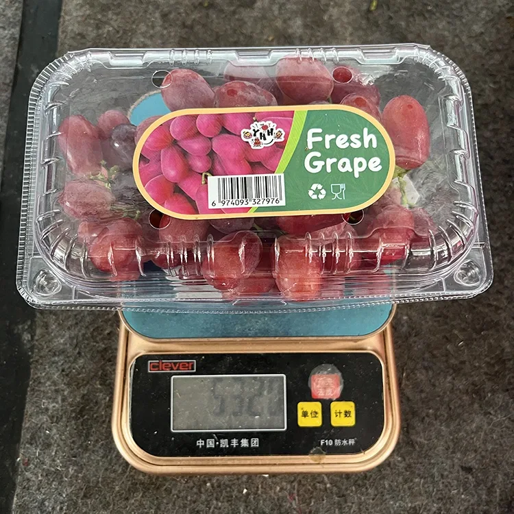 Export Grad Frësch Crimson Seedless Drauwe