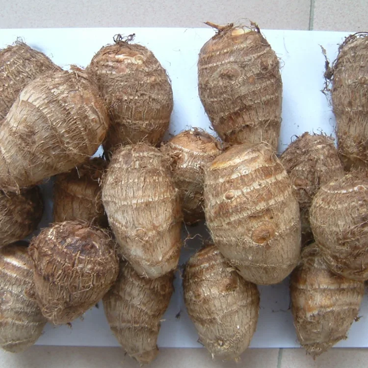 Feld Frësch Taro