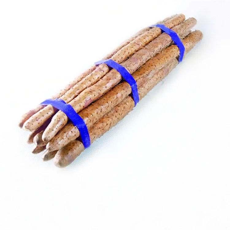 Frësch Chinese Yam