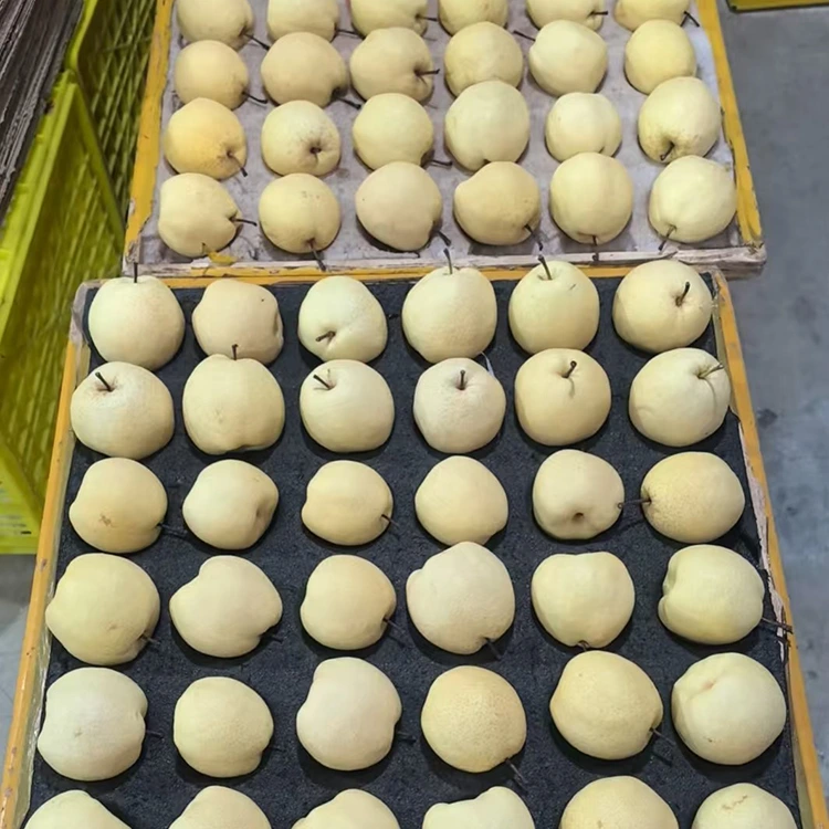 Frësch-gepickt Gong Pears