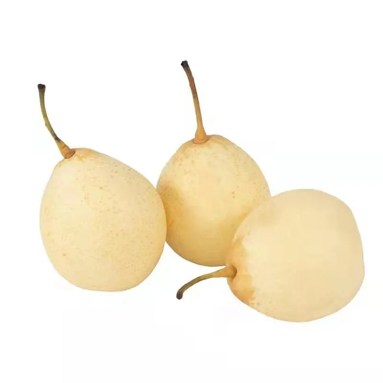 Frësch gesammelt Ya Pear