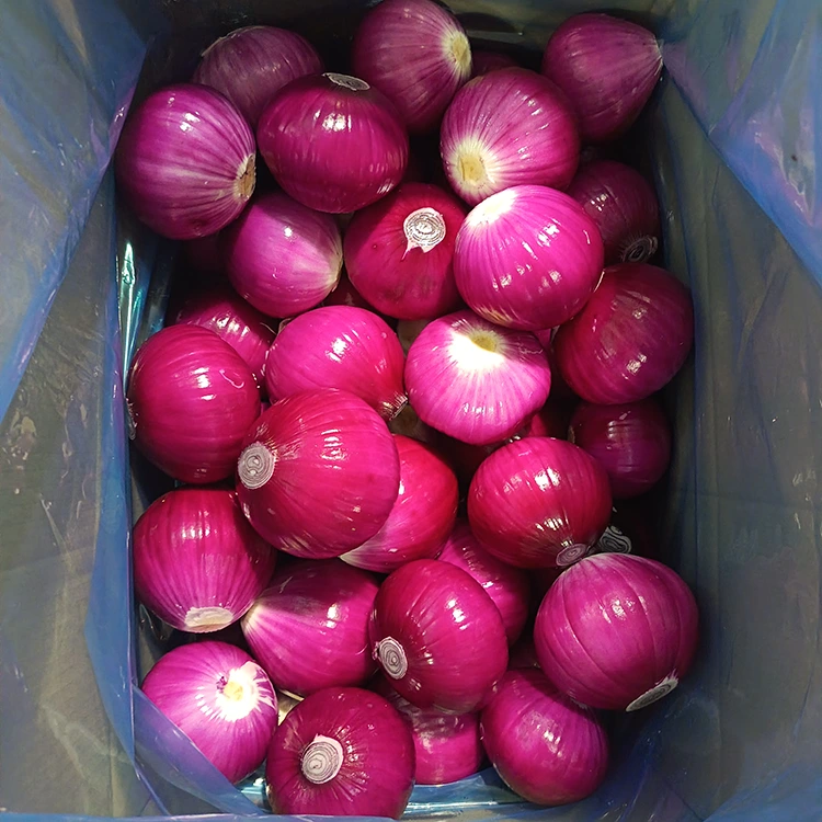 Héich Qualitéit geschälte Zwiebelen