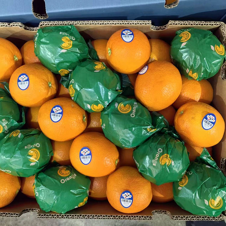 Premium Fresh Juicy Sweet Navel Oranges