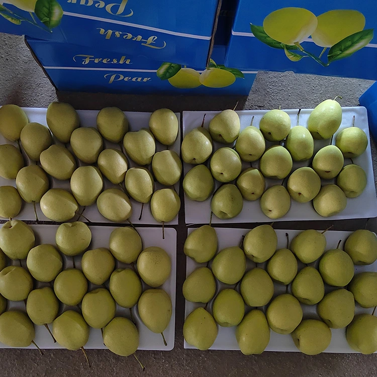Natierlech Séiss Shandong Pears