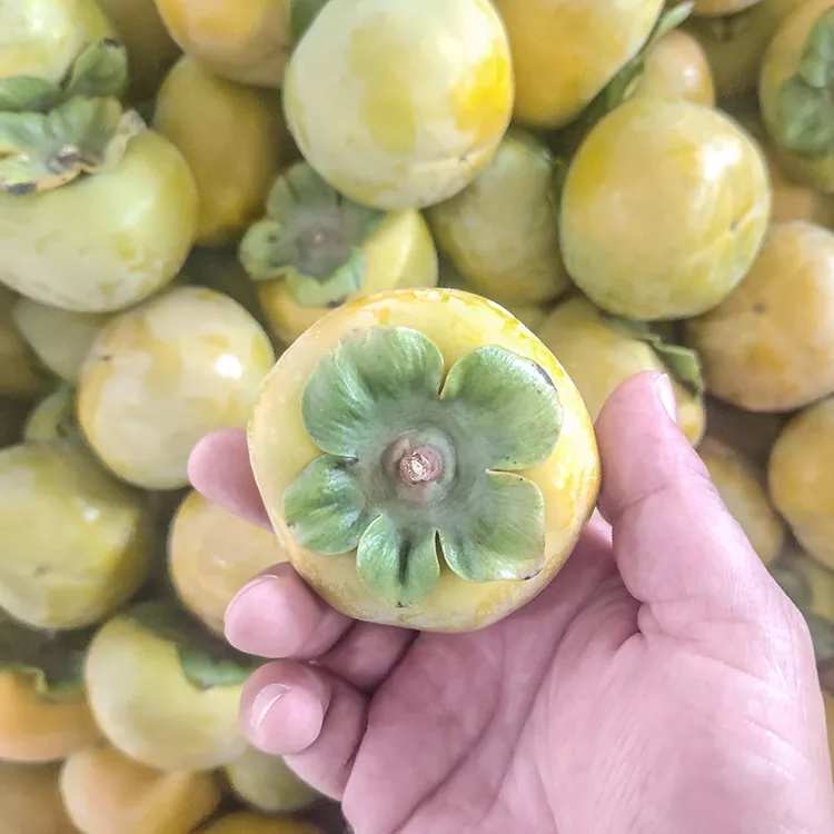 Premium Frësch Crisp Persimmon