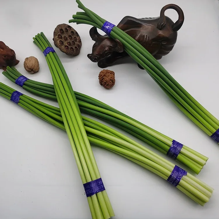 Premium Frësch Knuewelek Scapes