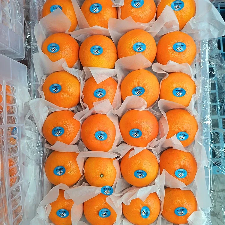 Premium Frësch Séiss Wogan Mandarinen
