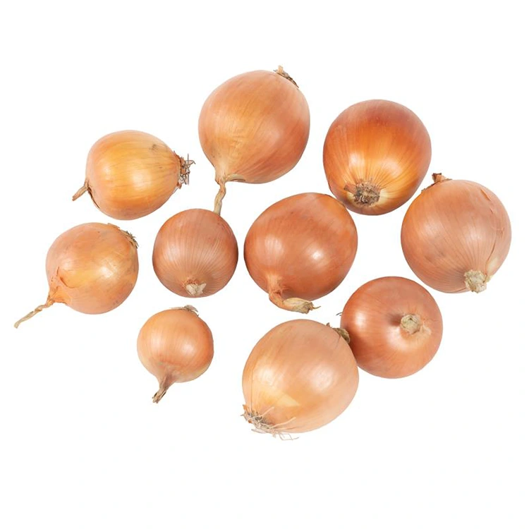 Premium Frësch Giel Ënnen