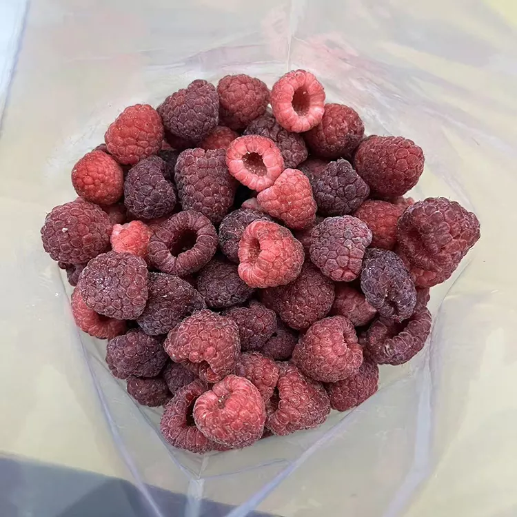 Premium IQF Ganz Frozen Red Raspberry