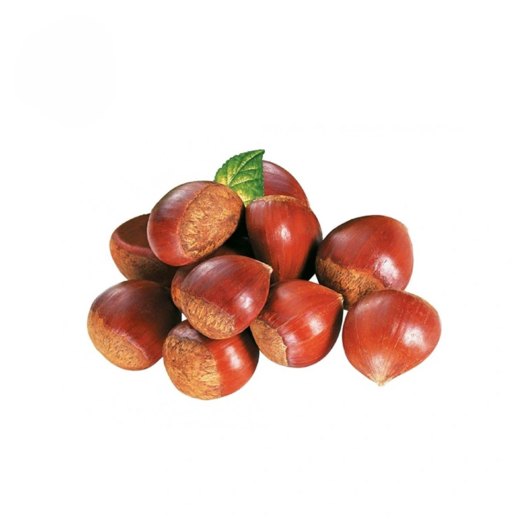 Premium Qualitéit Kastanien