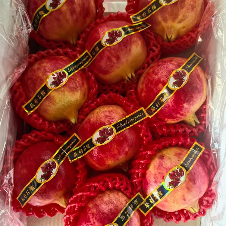 Premium tunesesch Soft-Seeded Pomegranates
