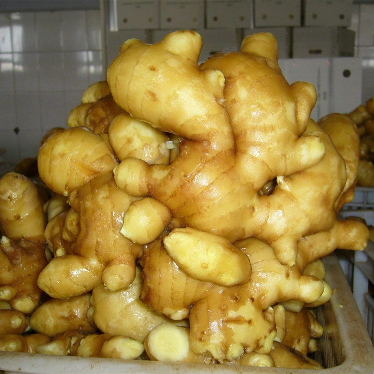 Spicy Frësch Aromatesch Ginger