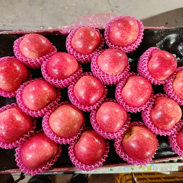Superior Frësch Jiguan Äppel