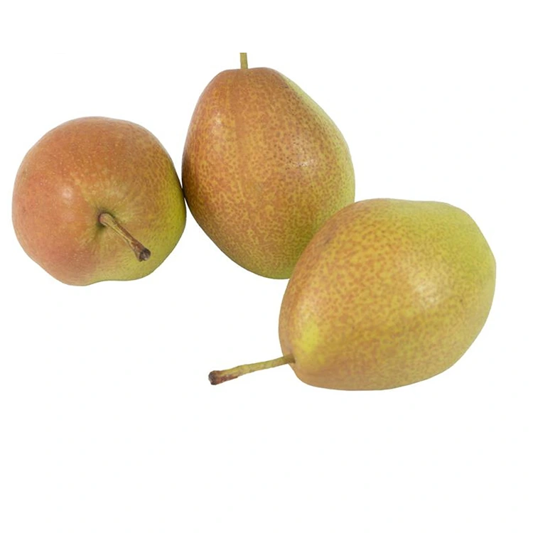 Superior Qualitéit Frësch Hongxiangsu Pears